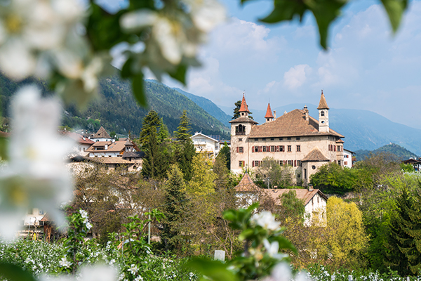 Schloss Fahlburg