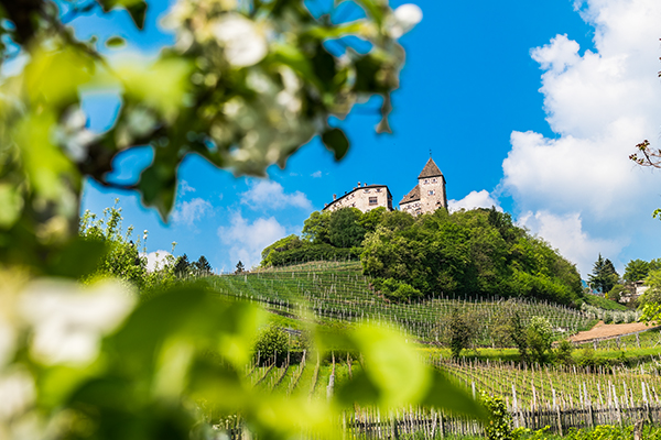 Schloss Wehrburg