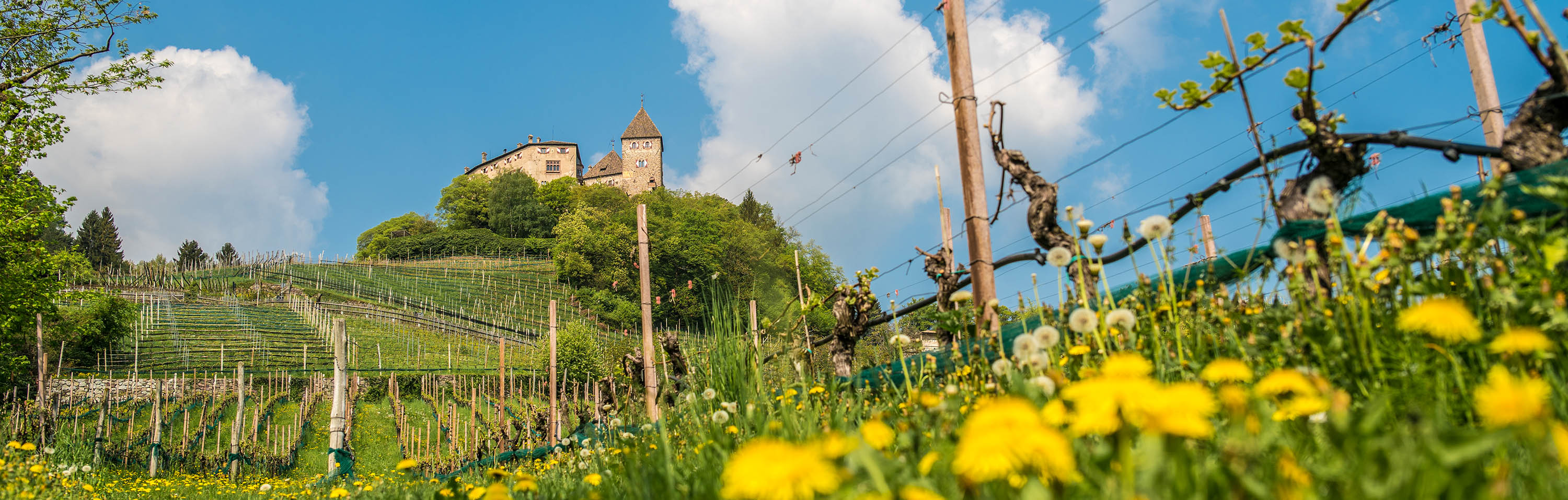 Schloss Wehrburg